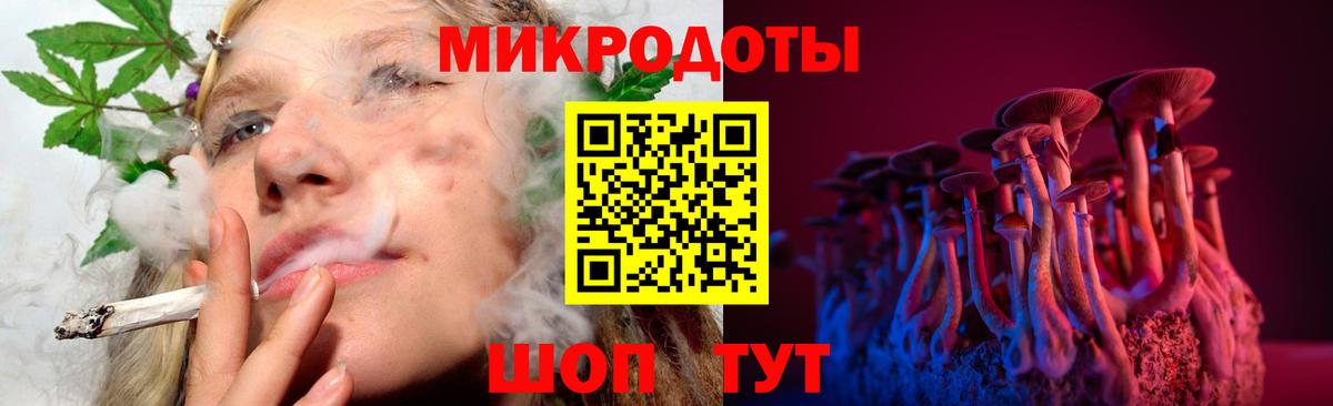Псилоцибиновые грибы Psilocybine cubensis  Вход с VPN  Советская Гавань 